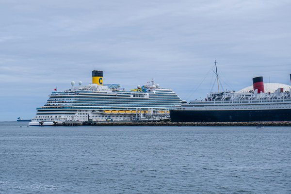 Quel zoo se trouve près de chez moi ?